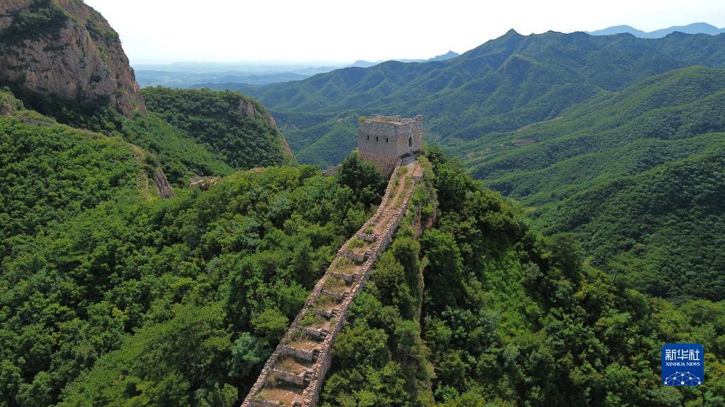 金鲨银鲨单机版